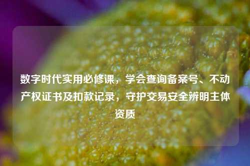 数字时代实用必修课,学会查询备案号、不动产权证书及扣款记录,守护交易安全辨明主体资质