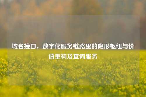 域名接口，数字化服务链路里的隐形枢纽与价值重构及查询服务