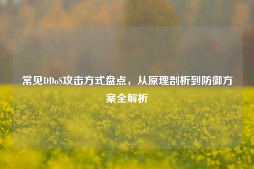 常见DDoS攻击方式盘点,从原理剖析到防御方案全解析