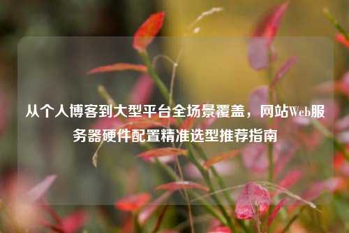从个人博客到大型平台全场景覆盖,网站Web服务器硬件配置精准选型推荐指南