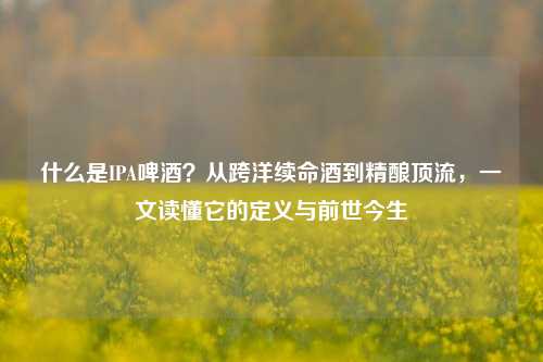 什么是IPA啤酒？从跨洋续命酒到精酿顶流，一文读懂它的定义与前世今生