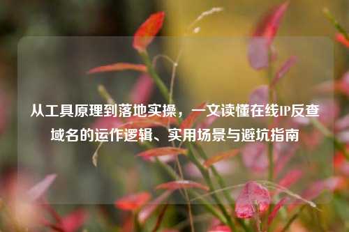 从工具原理到落地实操，一文读懂在线IP反查域名的运作逻辑、实用场景与避坑指南