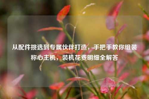 从配件挑选到专属伙伴打造,手把手教你组装称心主机,装机花费明细全解答
