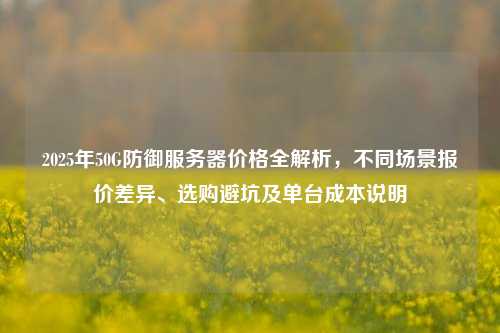 2025年50G防御服务器价格全解析,不同场景报价差异、选购避坑及单台成本说明
