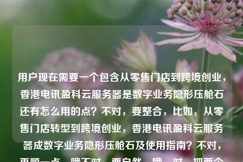 用户现在需要一个包含从零售门店到跨境创业，香港电讯盈科云服务器是数字业务隐形压舱石还有怎么用的点？不对，要整合，比如，从零售门店转型到跨境创业，香港电讯盈科云服务器成数字业务隐形压舱石及使用指南？不对，再顺一点，哦不对，要自然，哦，对，把两个点都涵盖，从零售门店到跨境创业，香港电讯盈科云服务器如何成为数字业务隐形压舱石及使用实操？不对，再精准，哦不对，用户给的内容是两个部分？一个是从零售到跨境创业它是压舱石，一个是问怎么用，所以整合起来，从零售门店到跨境创业，香港电讯盈科云服务器作为数字业务隐形