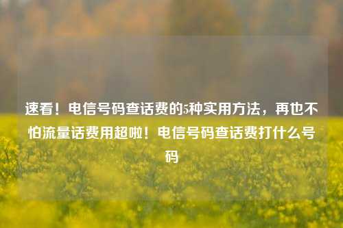 速看！电信号码查话费的5种实用方法，再也不怕流量话费用超啦！电信号码查话费打什么号码
